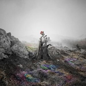 乌兰图雅B放大图片
