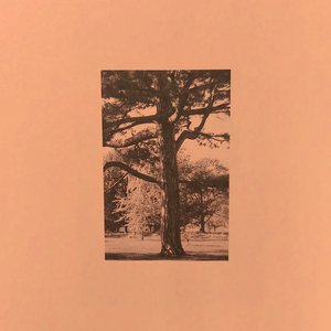 乌兰图雅B放大图片
